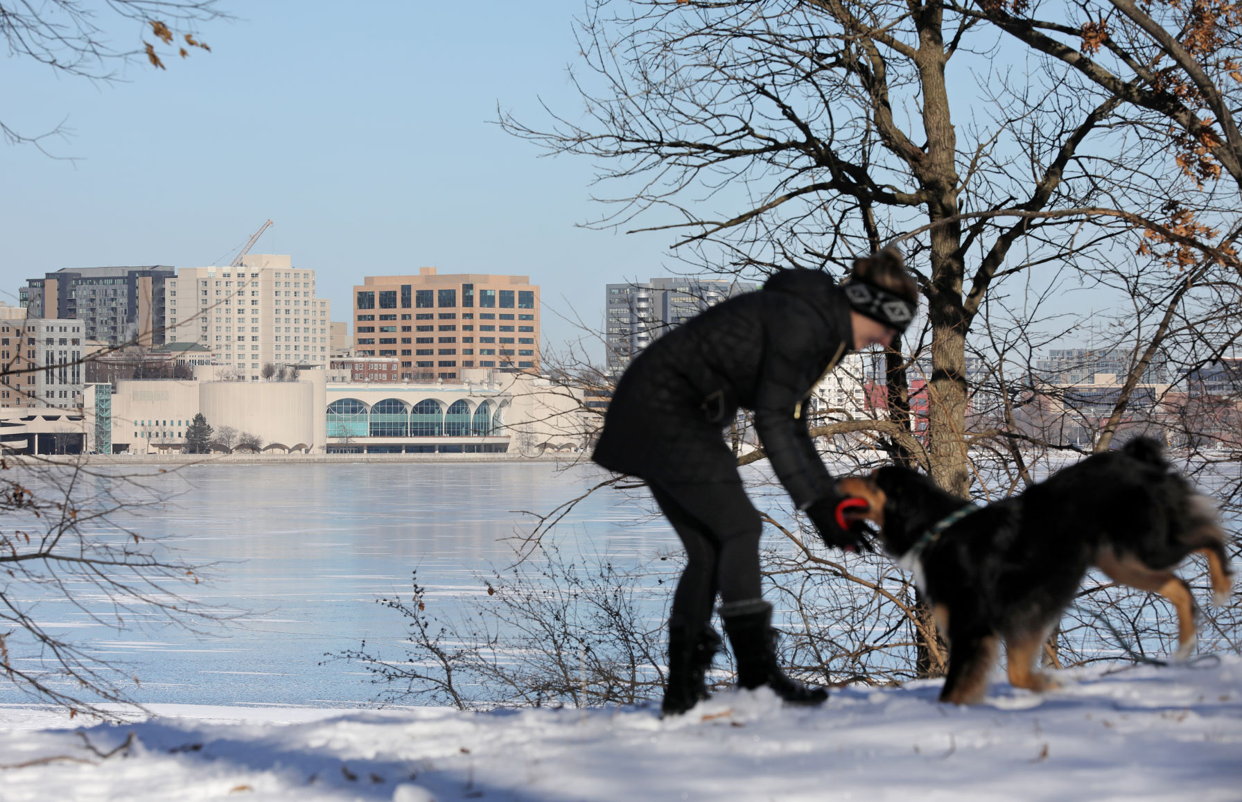 Lake Monona - exercising dog